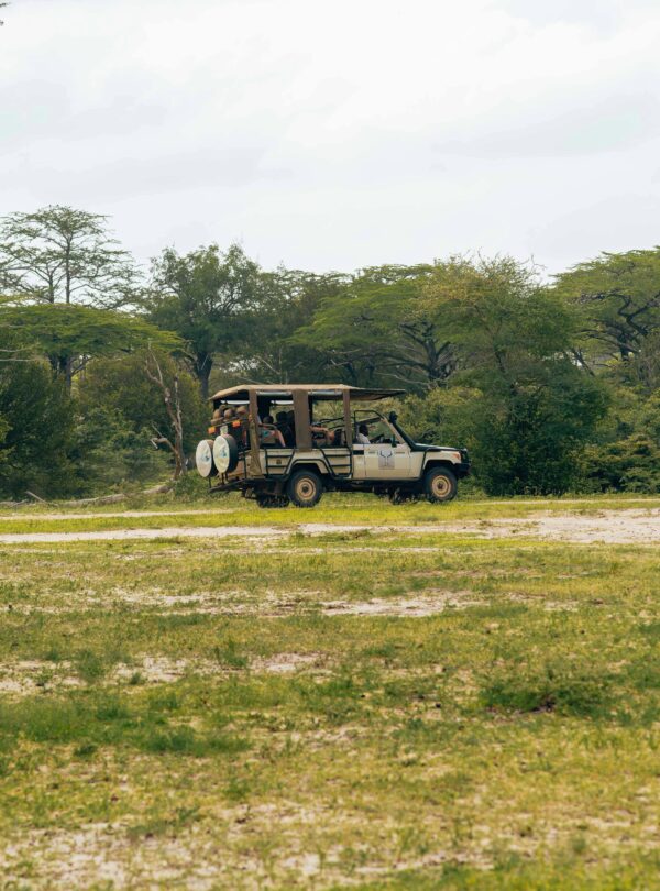 Kenya Safari Tour Package by navigans