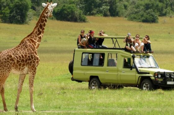 Cultural Discovery & Safari Kenya Tour Package