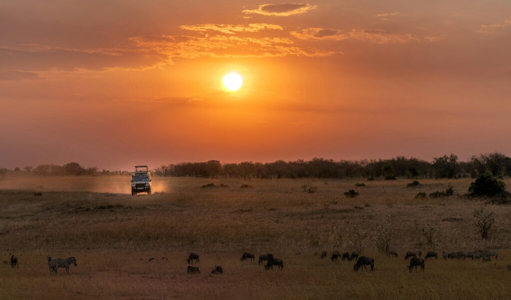 Kenya safari package by navigans
