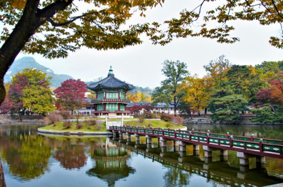 South Korea Cultural & Leisure Escape – 5 Days Seoul Experience