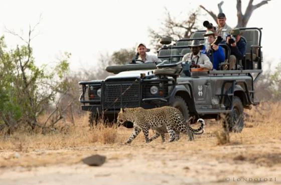Kenya Classic Safari Tour Package