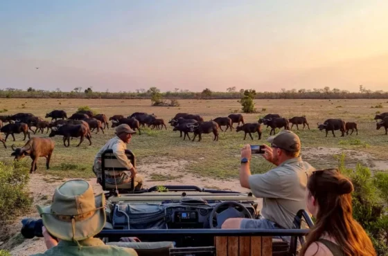 Kenya Family Explorer Tour package