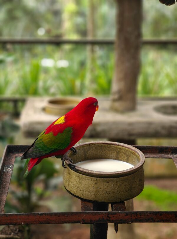 Kuala Lumpur Tour Package by navigans