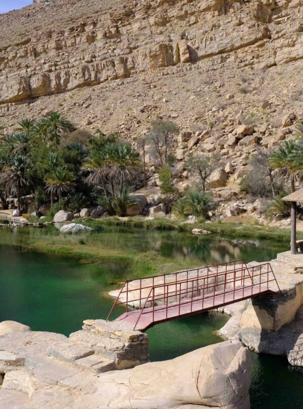 Wahiba Sands jeep tour navigans