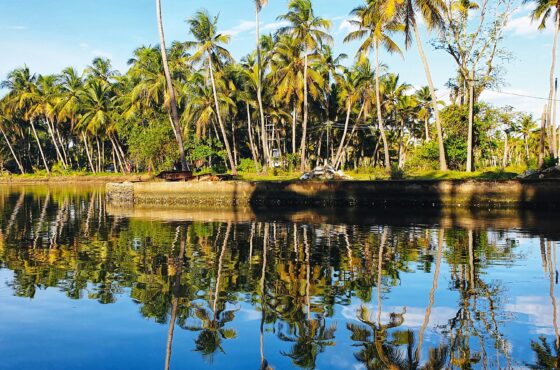 Kerala Backwaters & Hills Escape – 4 Days Munnar and Alleppey Experience