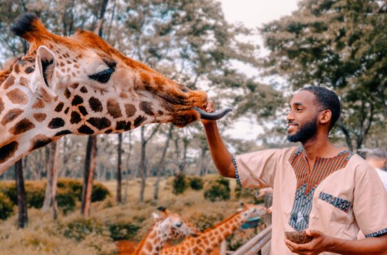 Nairobi & Masai Mara Safari Adventure – 5 Days of Wildlife and Culture