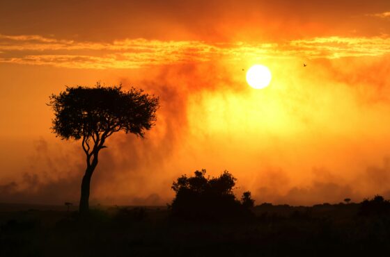 Nairobi & Masai Mara Safari – 6 Days of Culture, Wildlife, and Adventure