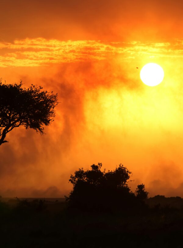 Kenya Safari Package by thenavigans