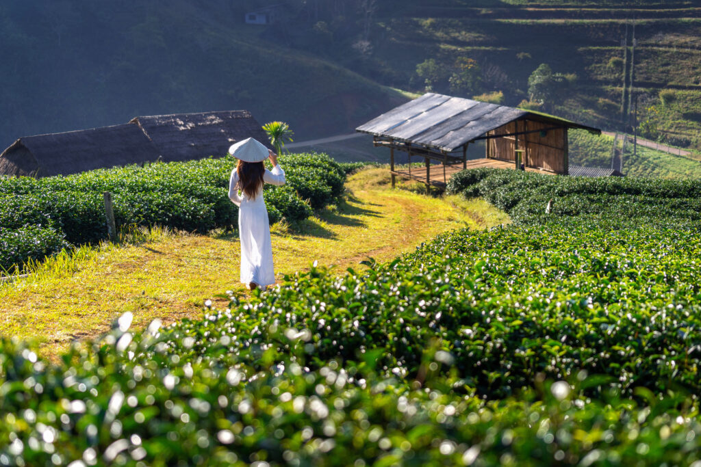 Kerala tour package by navigans