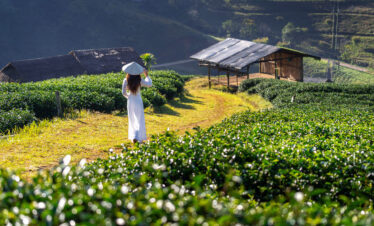 5 Days Kerala Tour Package (Munnar – Alleppey – Kumarakom – Cochin)