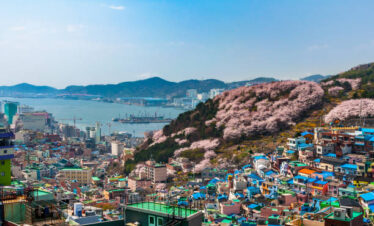 gettyimages-949984420-612×612