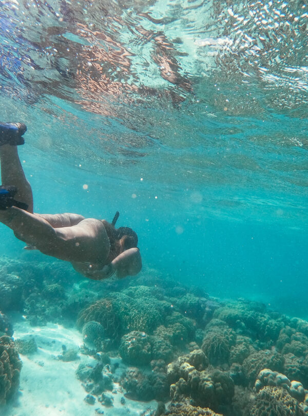 best snorkeling navigans