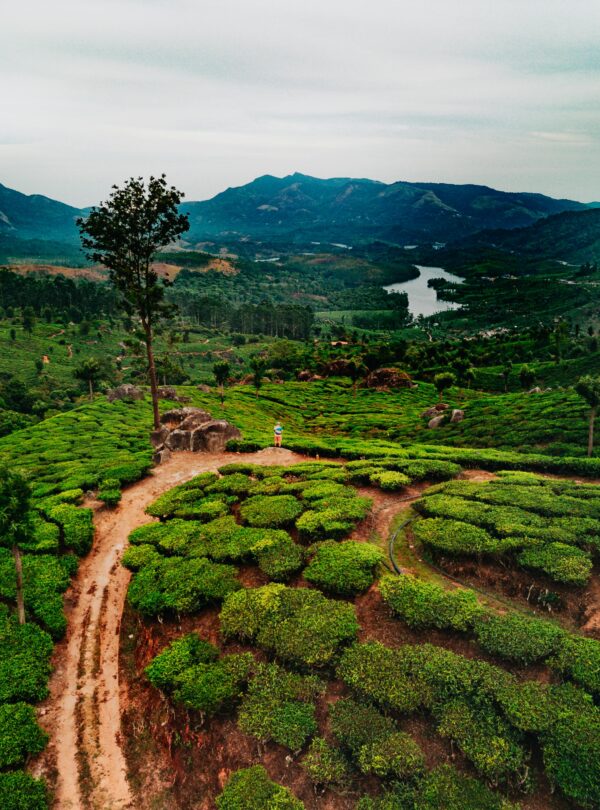 Kerala tour package navigans