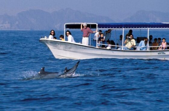 Coastal Trip of Oman – 2-Hour Adventure Tour