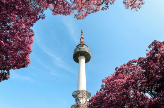 Japan & South Korea 10D/9N Tour: Tokyo, Kyoto, Hiroshima, Busan, Seoul