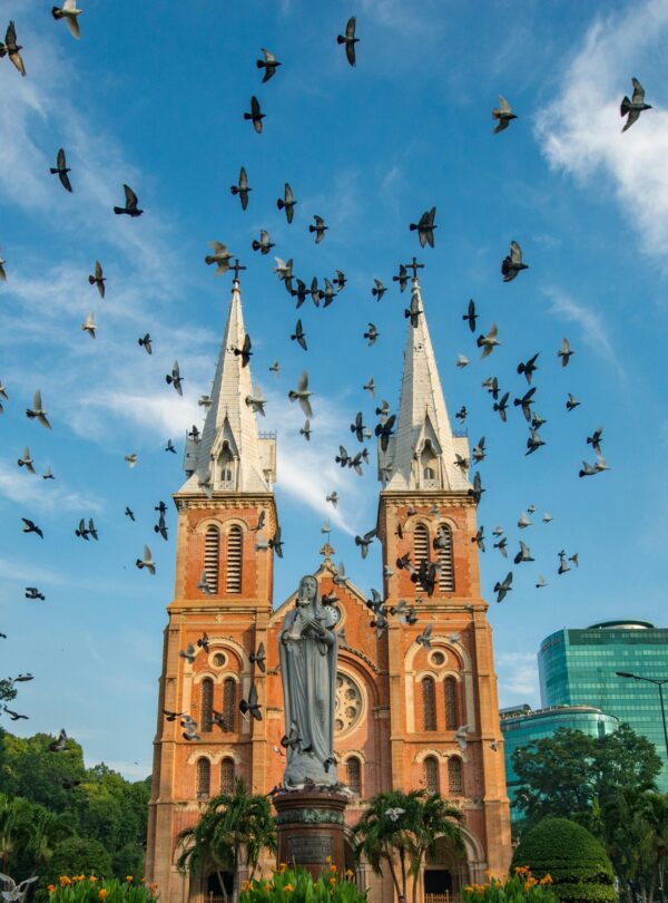 Vietnam travel package