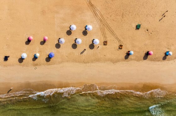 Sri Lanka Highlights 6D/5N – Culture, Hills, Wildlife & Beaches