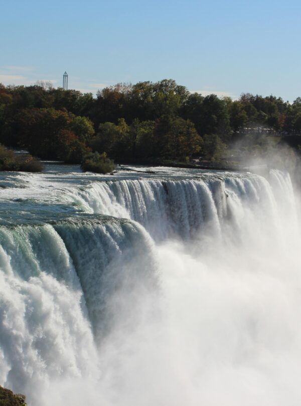 Royal America tour package