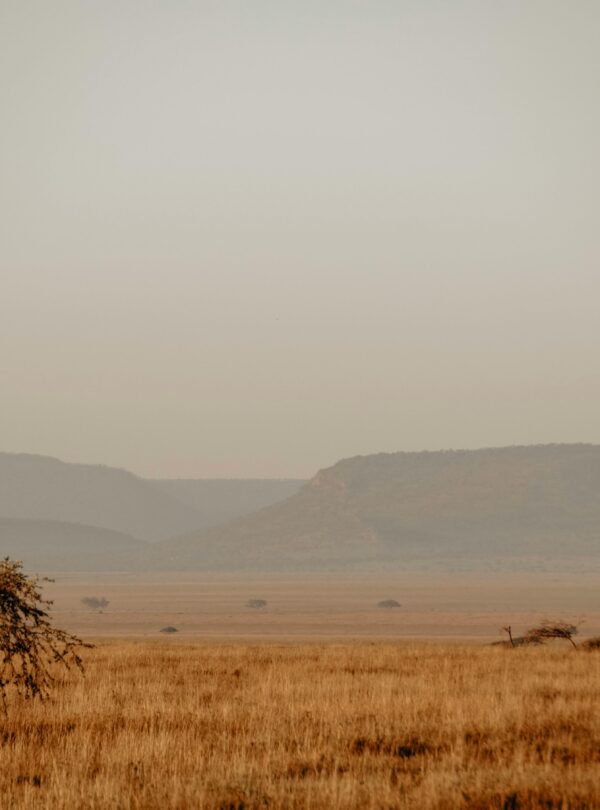 kenya tanzania safari package