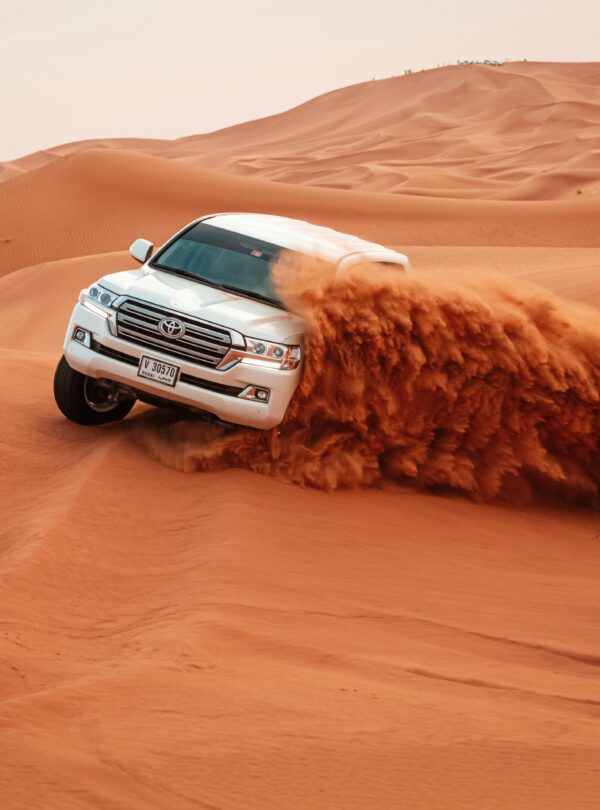 Dubai cruise tour package