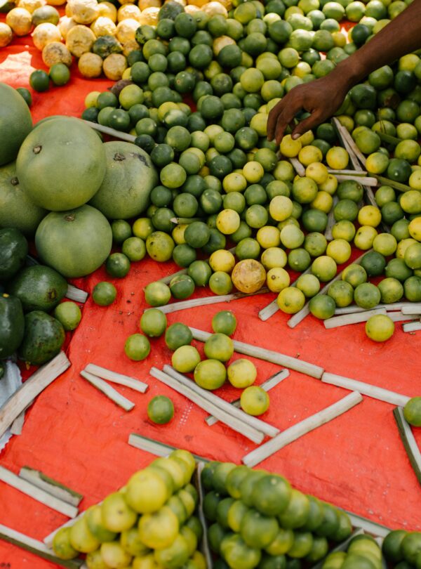 almaty travel package