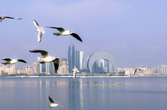 Azerbaijan and Georgia 11-Day Tour: