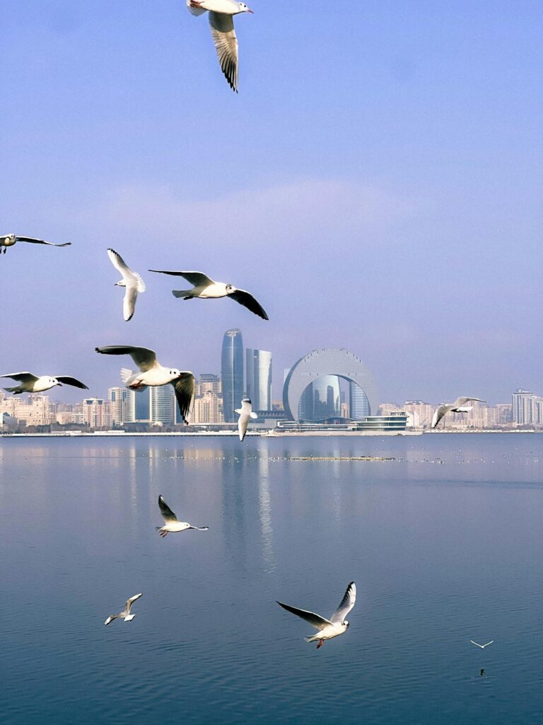 Azerbaijan Georgia travel package