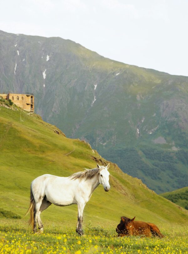 Azerbaijan Georgia travel package