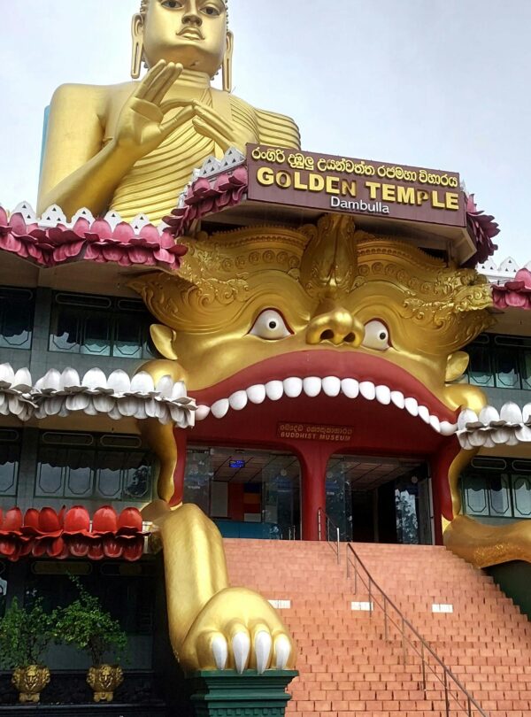 Sri Lanka Travel Package | 6D/5N Culture, Hills, Wildlife