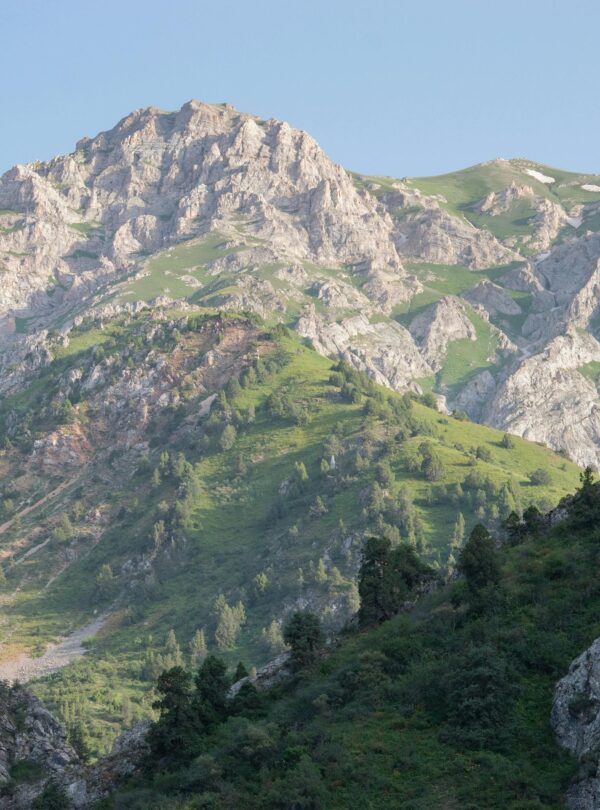 Uzbekistan tour package