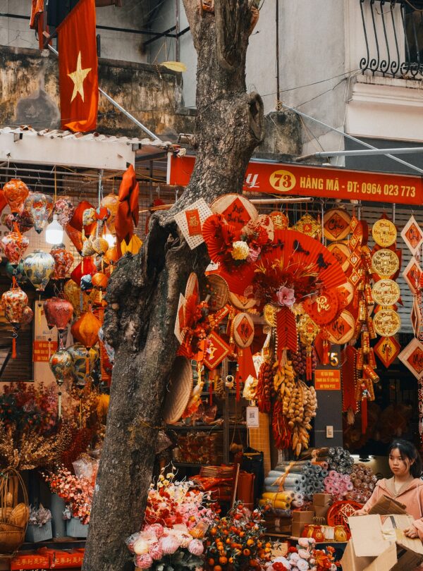 Vietnam travel package