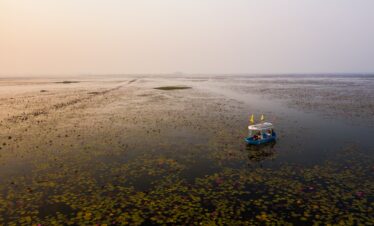 5 Days Kerala Tour – Munnar, Alleppey & Cochin